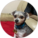 Charlie Bosman Charlie Bosman